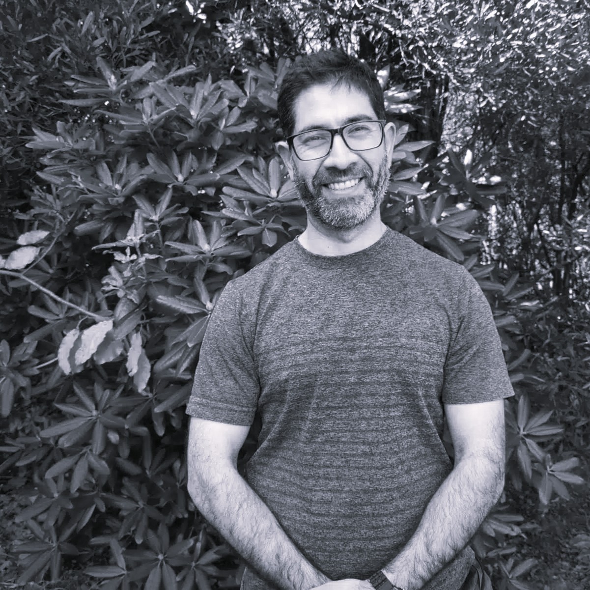 Dr. Luis Veas Castillo